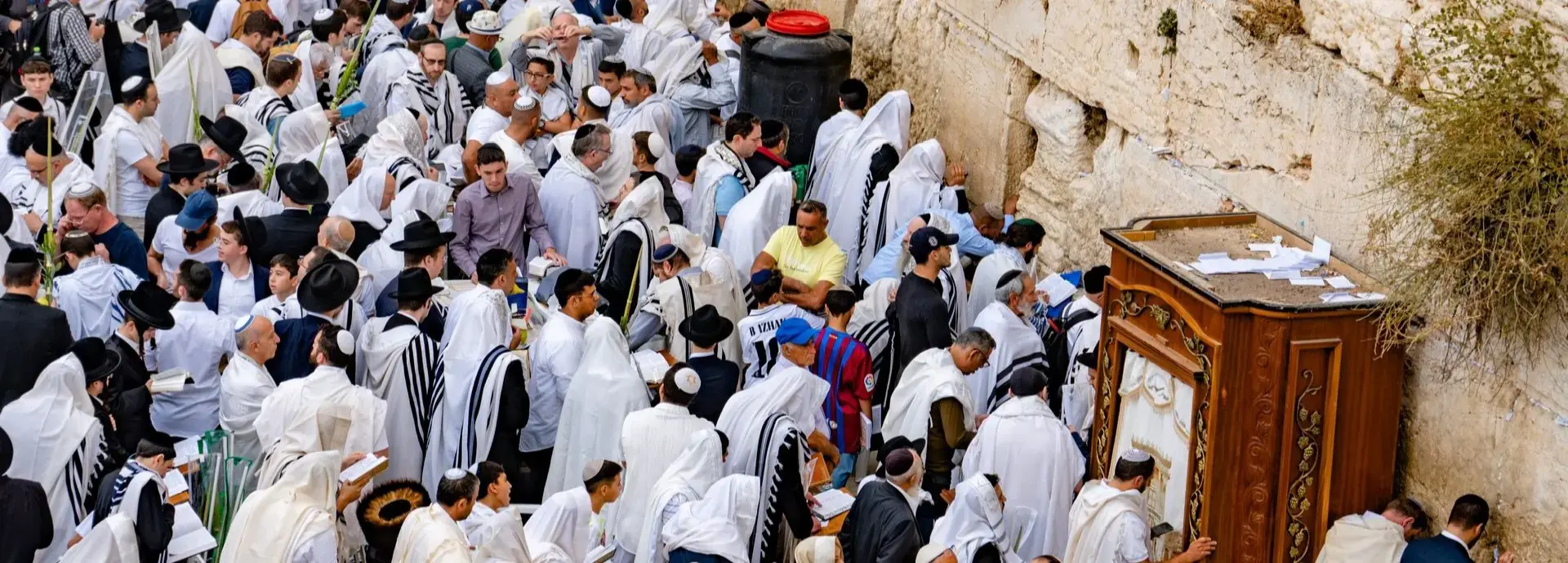 צילום של סוכות: חוגגים את חג האסיף בירושלים