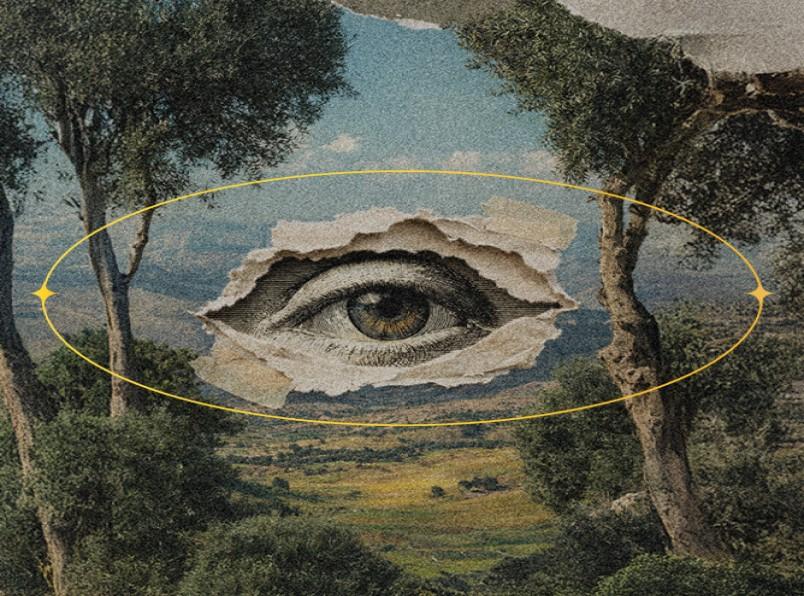 שרף | בבית אבי-חי