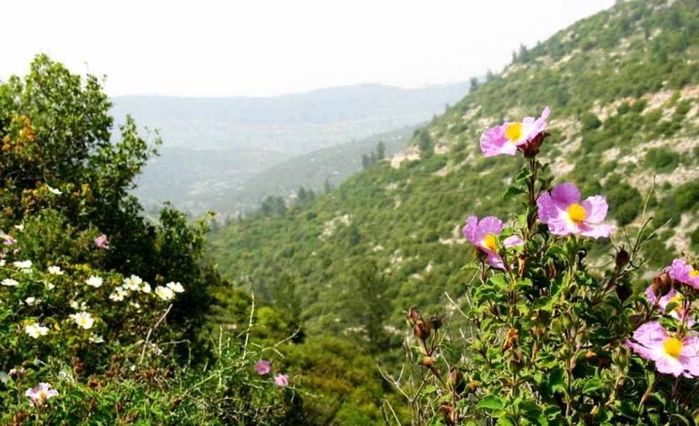 צילום של סיור עצמאי בנחל קטלב