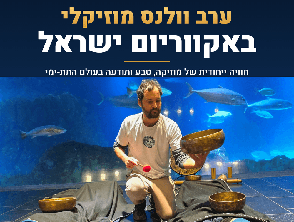 צילום של ערב של מוזיקה, צלילים ורוגע באקווריום ישראל