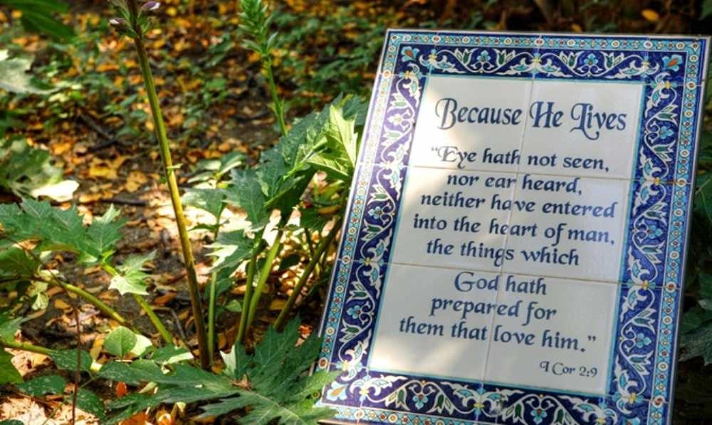 photo of The Garden Tomb