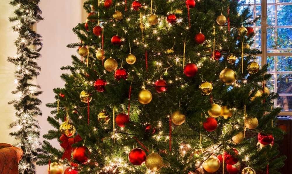 صورة جولة عيد الميلاد لمدة يومين في القدس وبيت لحم