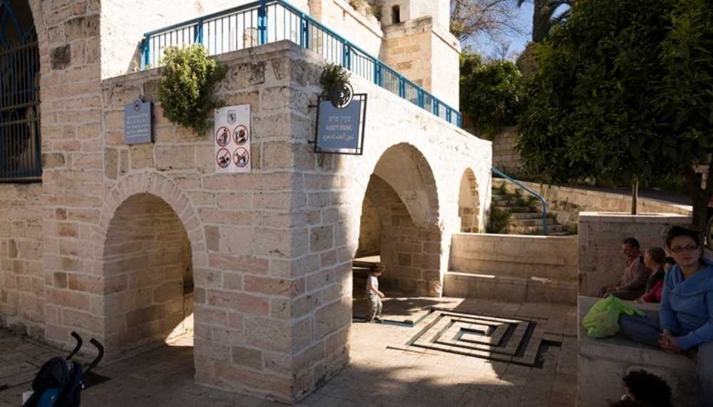 photo of Palm Sunday Procession Tour