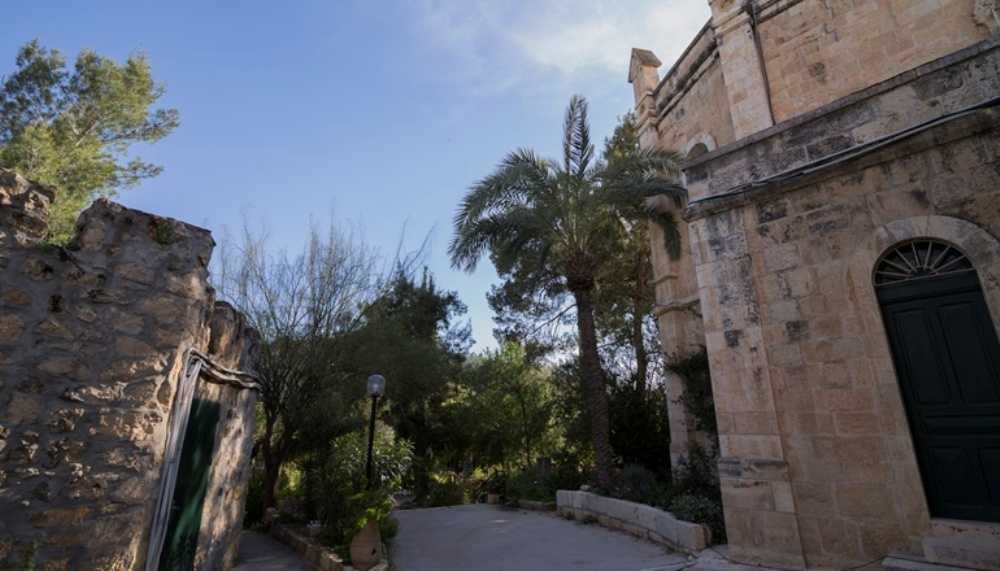 photo of Palm Sunday Procession Tour