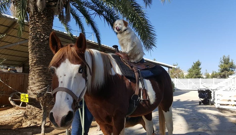 צילום של חוות עומרי