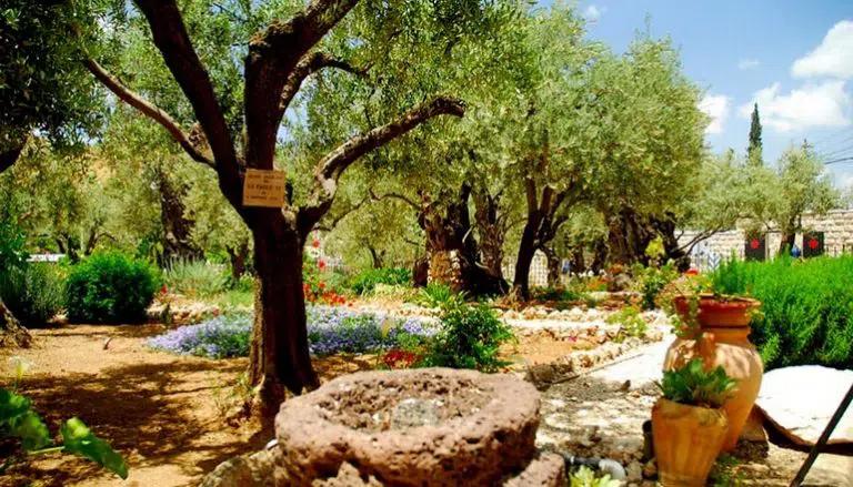 photo of Highlights of Jerusalem and Bethlehem Day Tour