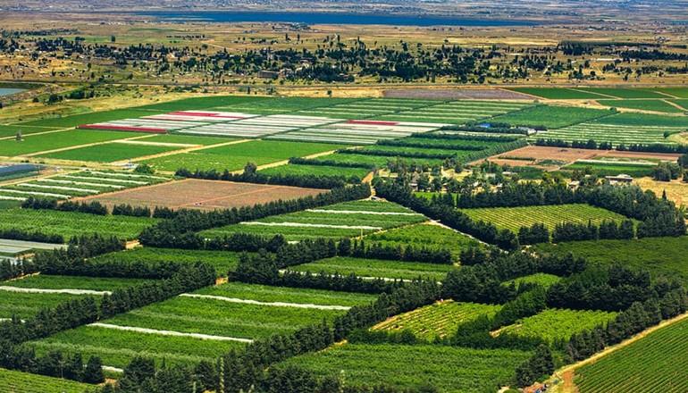 photo de Forfait joyaux classiques d'Israël et Petra de 10 jours