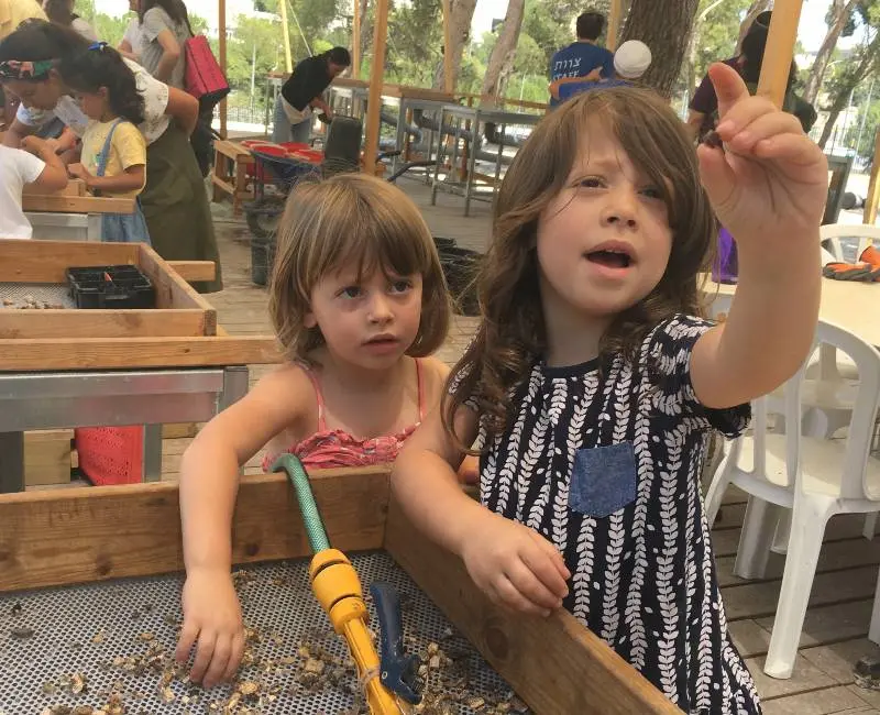 חוויה לכל המשפחה: סינון ארכיאולוגי של עפר מהר הבית
