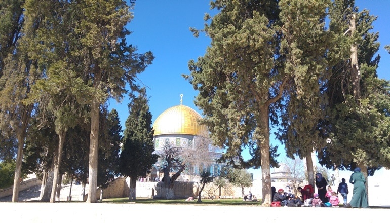 צילום של סיור עצמאי בהר הבית: צאו למסע ביעד ייחודי