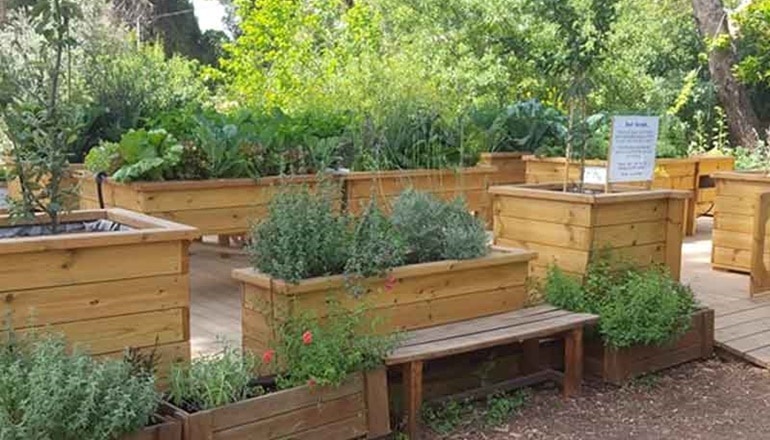 צילום של גני העדן של ירושלים: סיור עצמאי ברחבי הגינות הקהילתיות של העיר