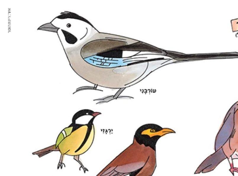 צִיפִּי וְצוּף- מופע סיפור בבית אבי חי