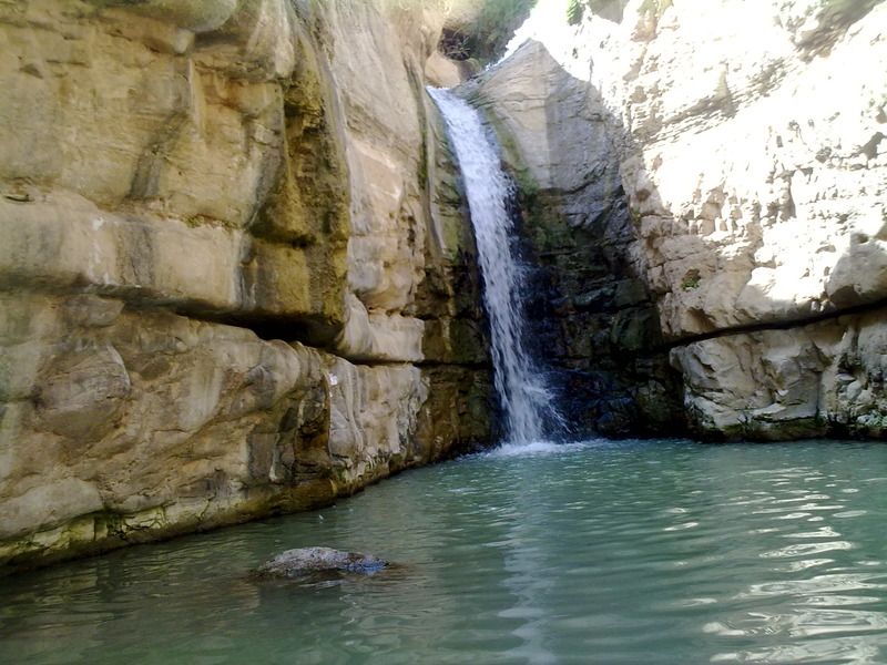 The Ein Gedi oasis is the largest in the country. It has springs and waterfalls and at the foot of the cliffs, the home of the goats and rock hares, streams of water flow.
