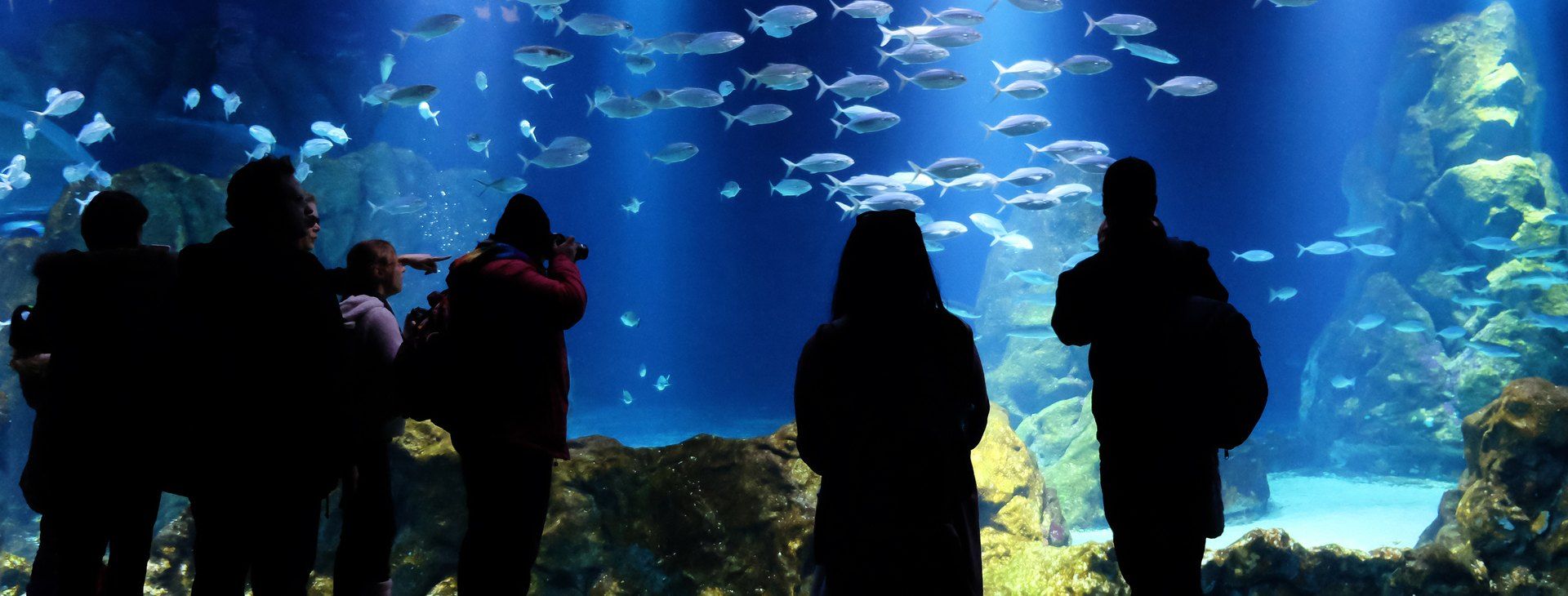 Foto von DAS ISRAEL AQUARIUM