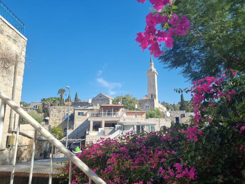 צילום של סיור סופ"ש בעין כרם: כפר פסטורלי בירושלים הירוקה עם טלי יהושע