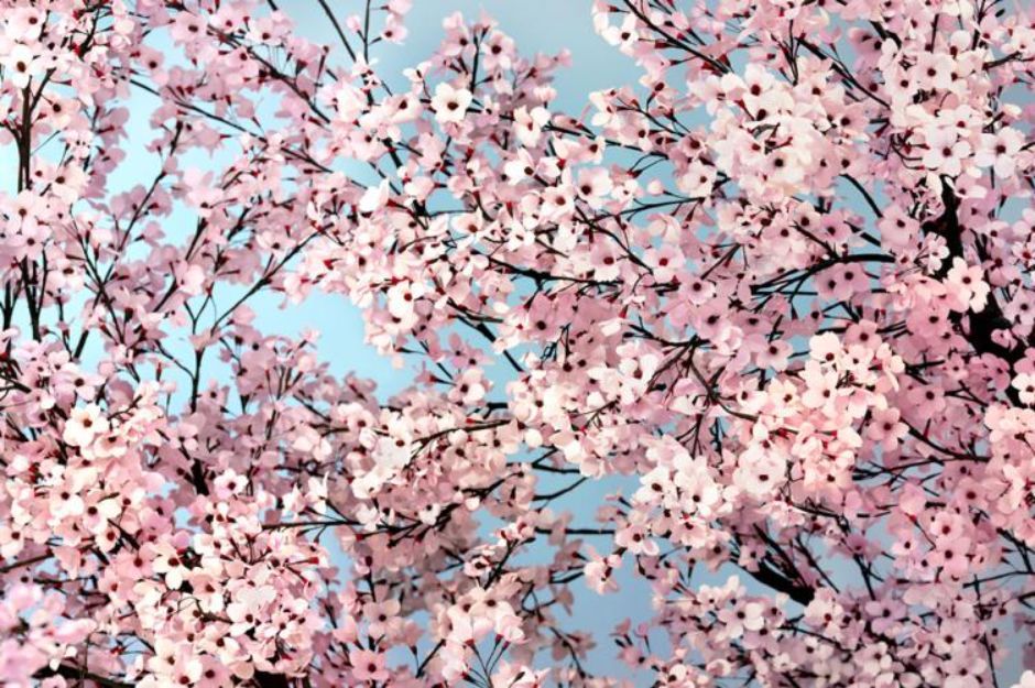 photo of Thomas Demand: The Stutter of History - An Exhibition at the Israel Museum