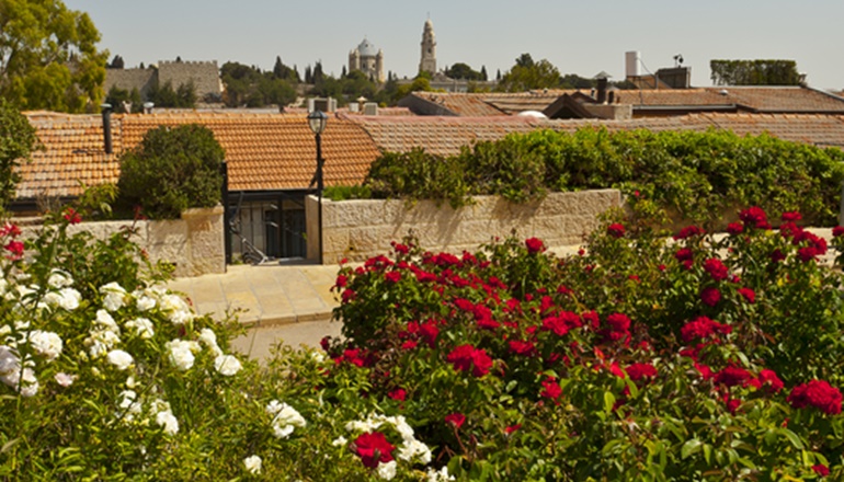 foto di Wohl Rose parco