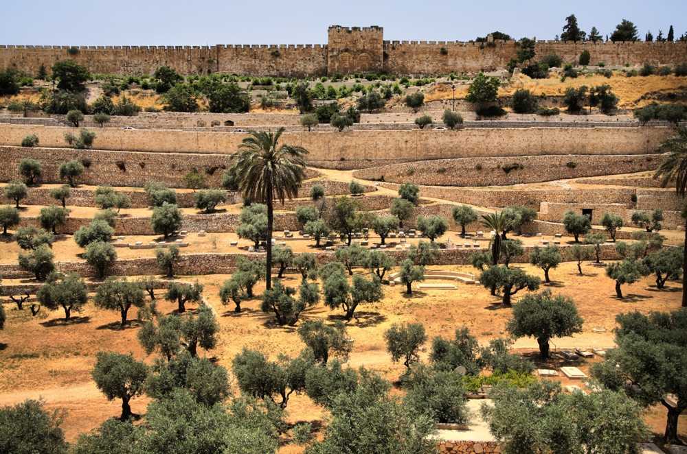 atr-crd-gate-of-mercy-mount-of-olives-ministry-of-tourism.jpg