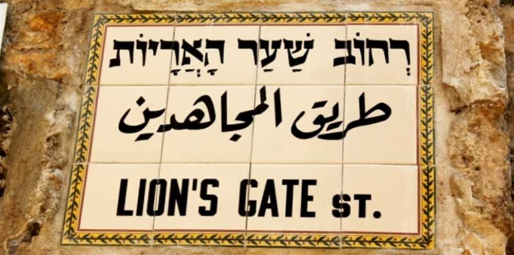 צילום של סיור משער האריות לכנסיית אלכסנדר