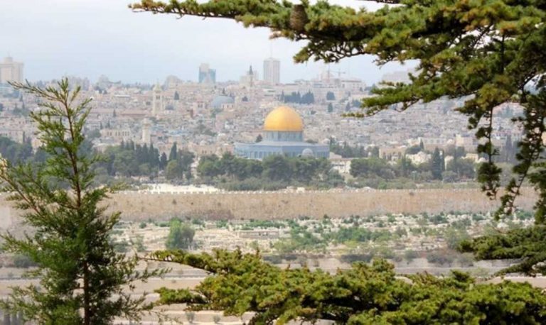foto di La gita della Vecchia e Nuova Gerusalemme