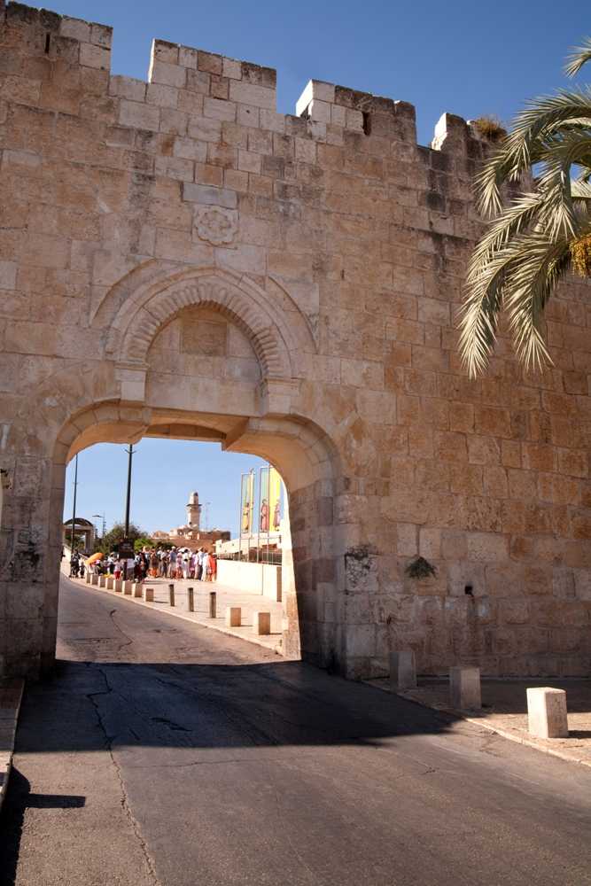 צילום של סיור מכנסיית המשיח אל השער החדש