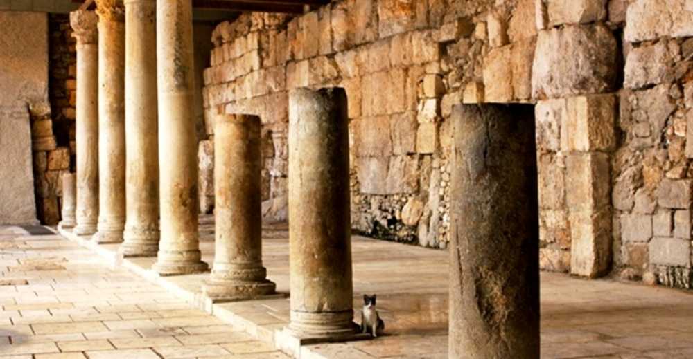 Улица Кардо