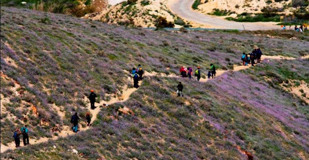 צילום של מסלול טיול בנחל פרת (ואדי קלט)