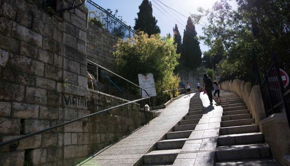 צילום של מבקרים בעין כרם