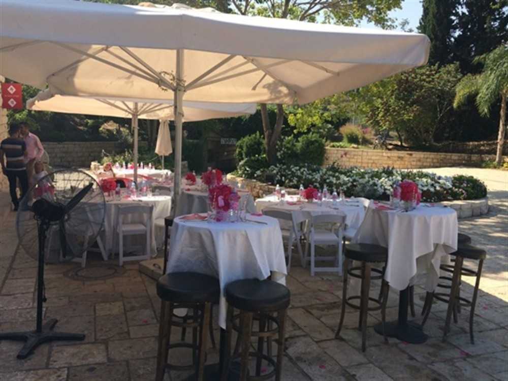 Cafit in the Botanical Gardens