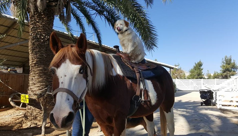 צילום של חוות עומרי