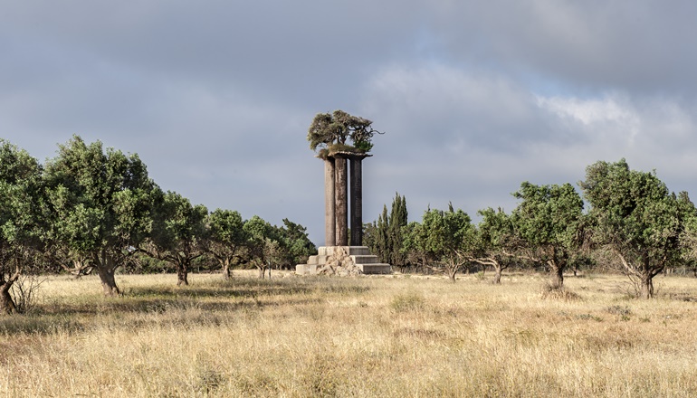 צילום של פארק הזיתים