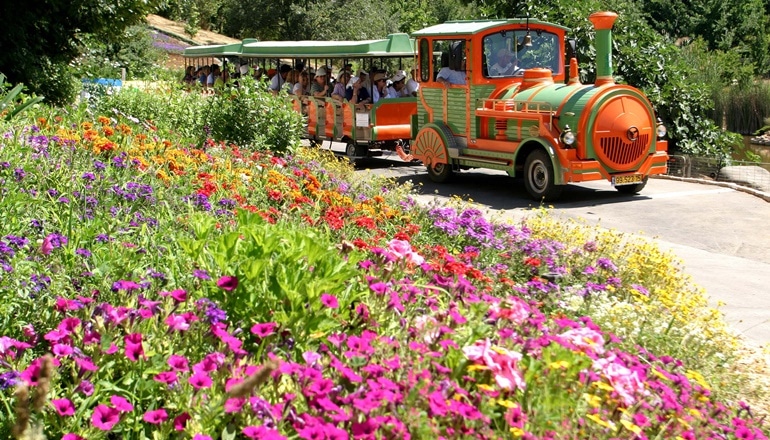 Foto von Der Botanische Garten von Jerusalem