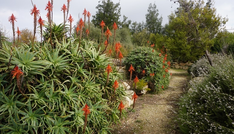 photo of The Jerusalem Botanical Gardens