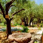 Gethsemane is where according to the Christian tradition and as described in the New Testament, Jesus prayed his last prayer the night before his crucifixion and was tormented before being handed over to the Romans by Judas Iscariot.

