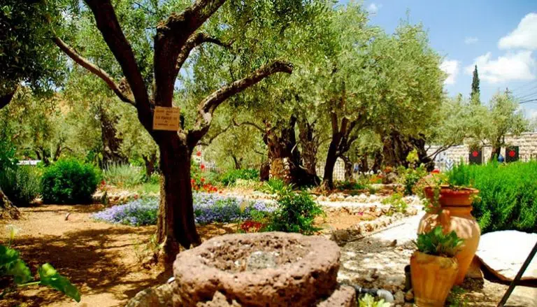 Foto von Höhepunkte der Tagestour durch Jerusalem und Bethlehem