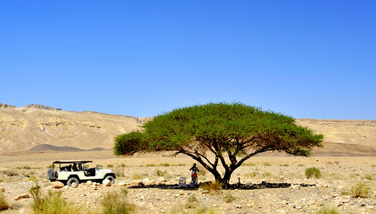 Take an exciting trip through the Judaean Desert (Photo courtesy of Bein Harim)