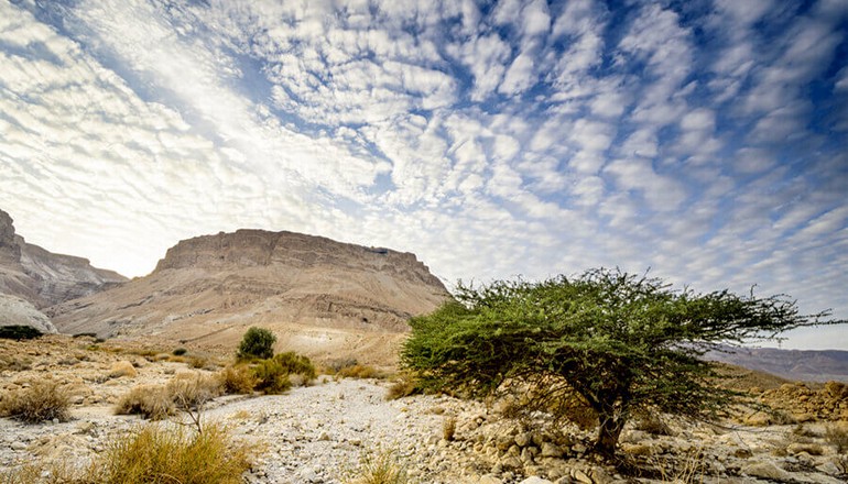 Explore the beautiful desert landscapes (Photo courtesy of Bein Harim)