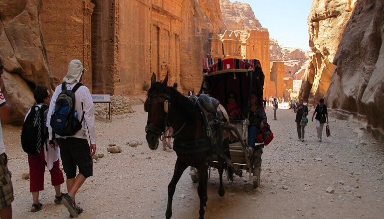 Fascinating encounters in the ancient red city of Petra, Jordan, a world heritage site.
