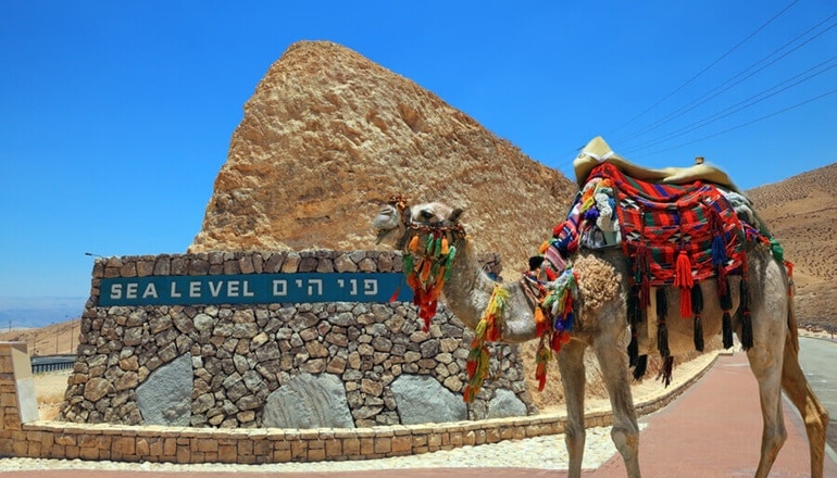 photo of Masada & Dead Sea Day Tour