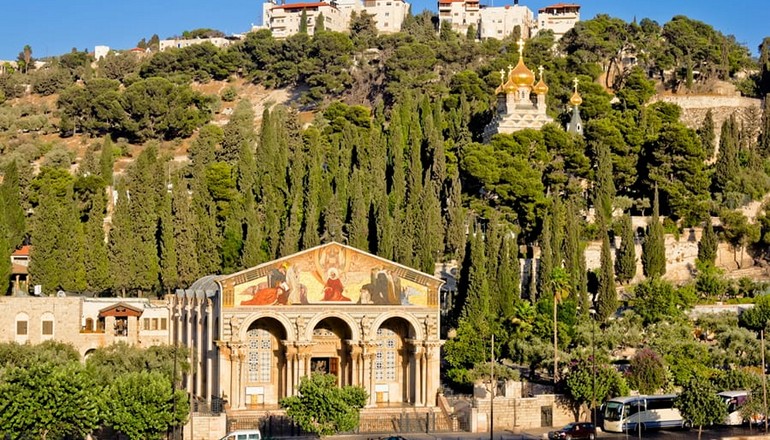 A beautiful view of the Church of all Nations on the Mount of Olives (Photo courtesy of Bein Harim)