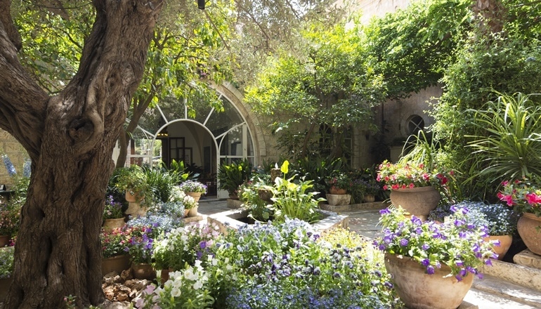 foto di Hotel boutique della colonia americana