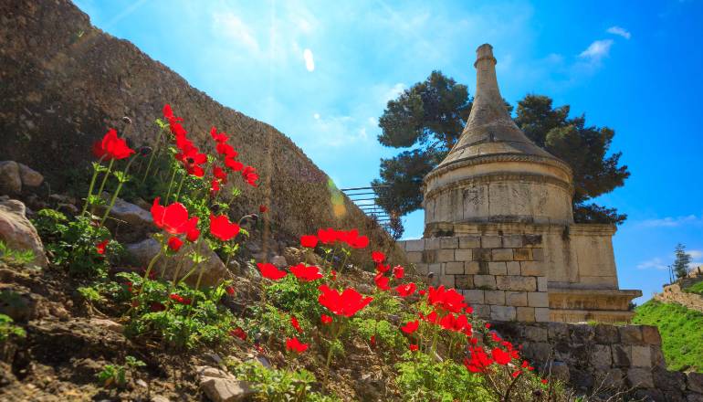 photo of Half a Day in the Old City