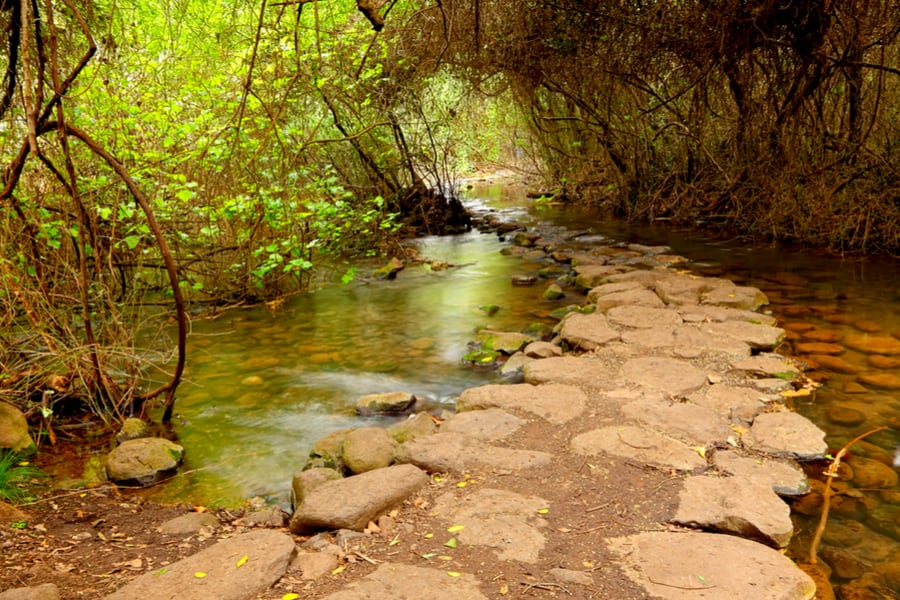 Foto von 12-tägige Pauschalreise zu den klassischen Juwelen Israels und Petra