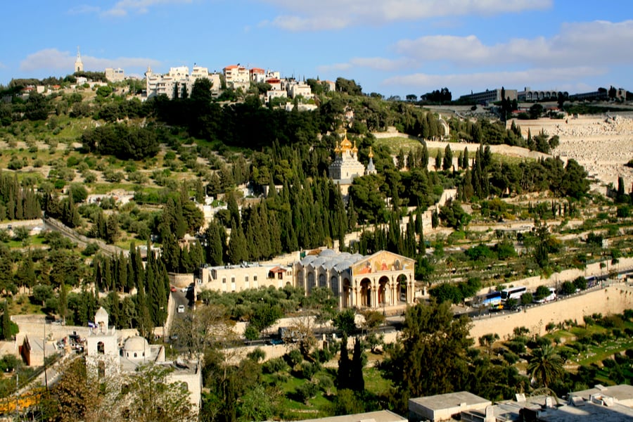 View of the Mount of Olives: A Land of earthly riches and spiritual depths (Courtesy of Bein Harim Tours)