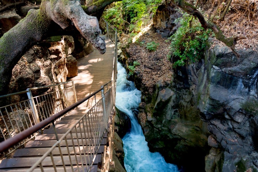 Foto von 9-tägige Pauschalreise zu den jüdischen Schätzen Israels und Petra
